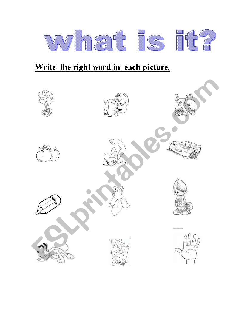 WHAT IS IT? worksheet