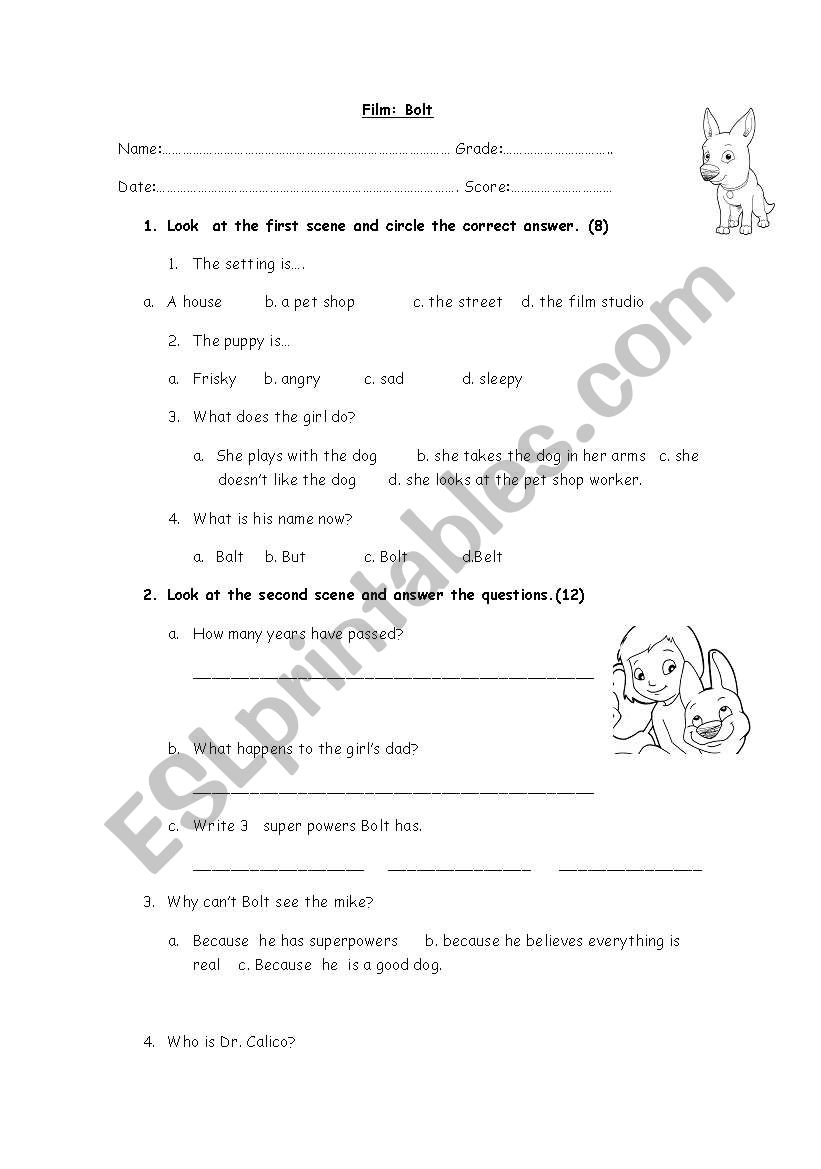 Bolt  worksheet