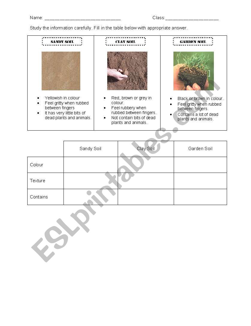 Type of Soils worksheet