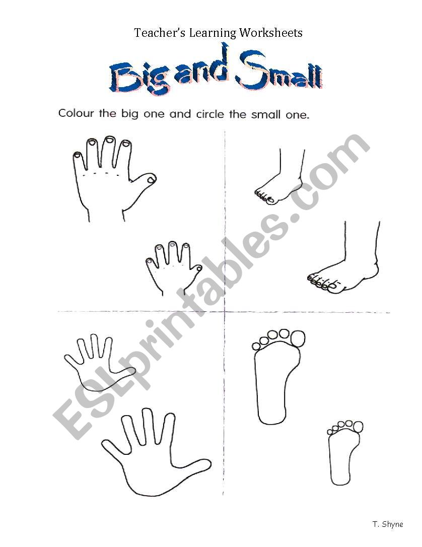 Big and Small - ESL worksheet by MPilar