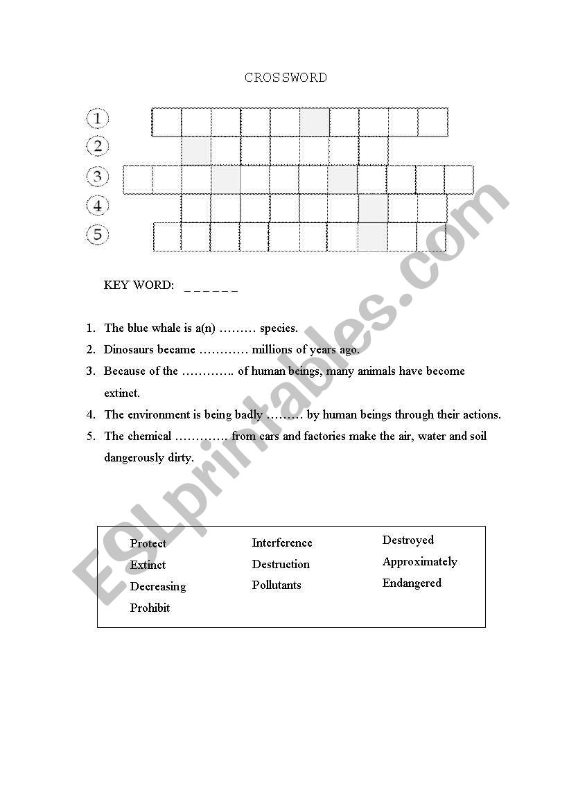 Environment worksheet