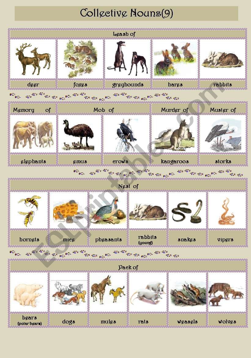 Collective Nouns (animals) 9 - ESL worksheet by smiya