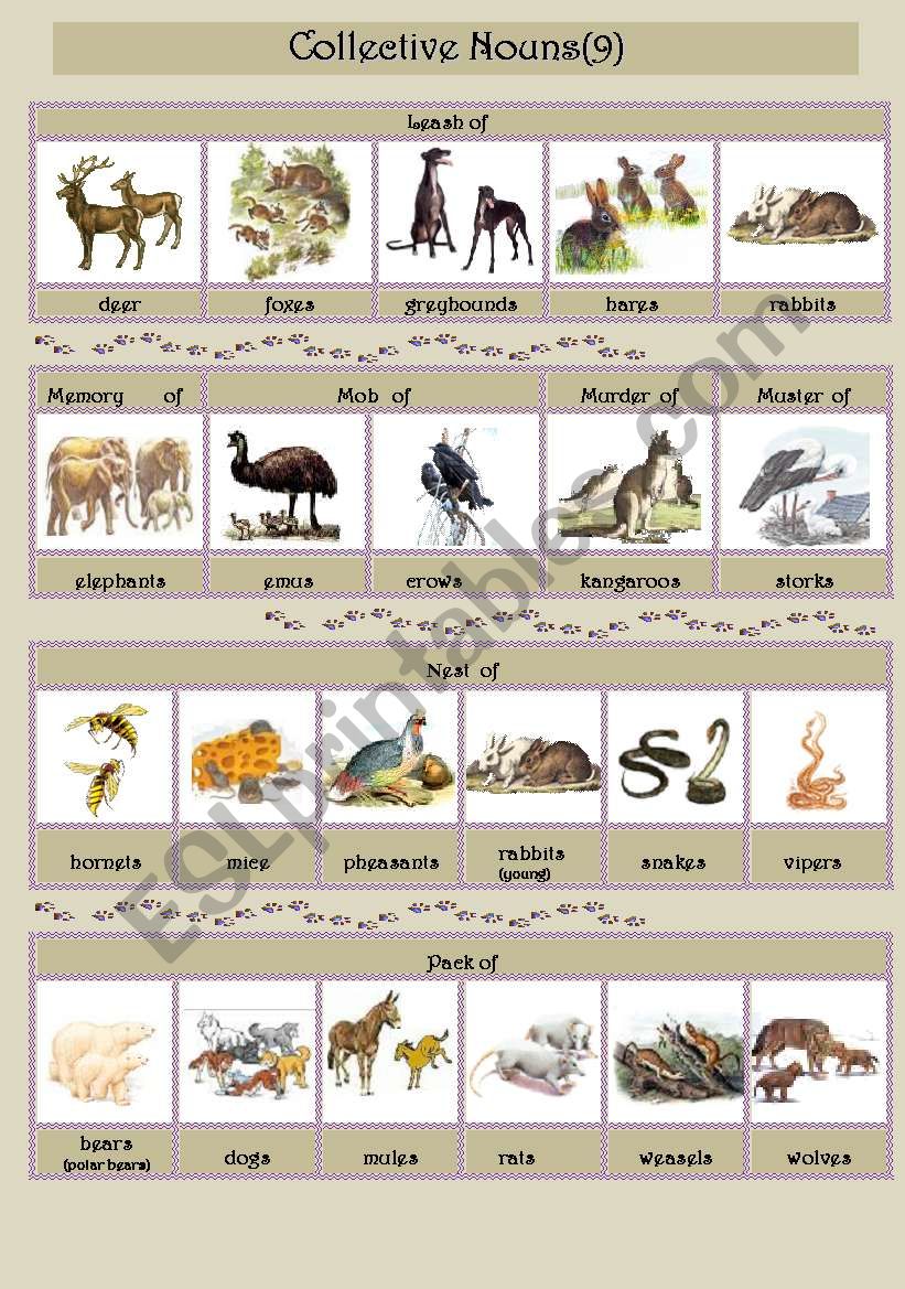 Collective Nouns animals 9 ESL Worksheet By Smiya