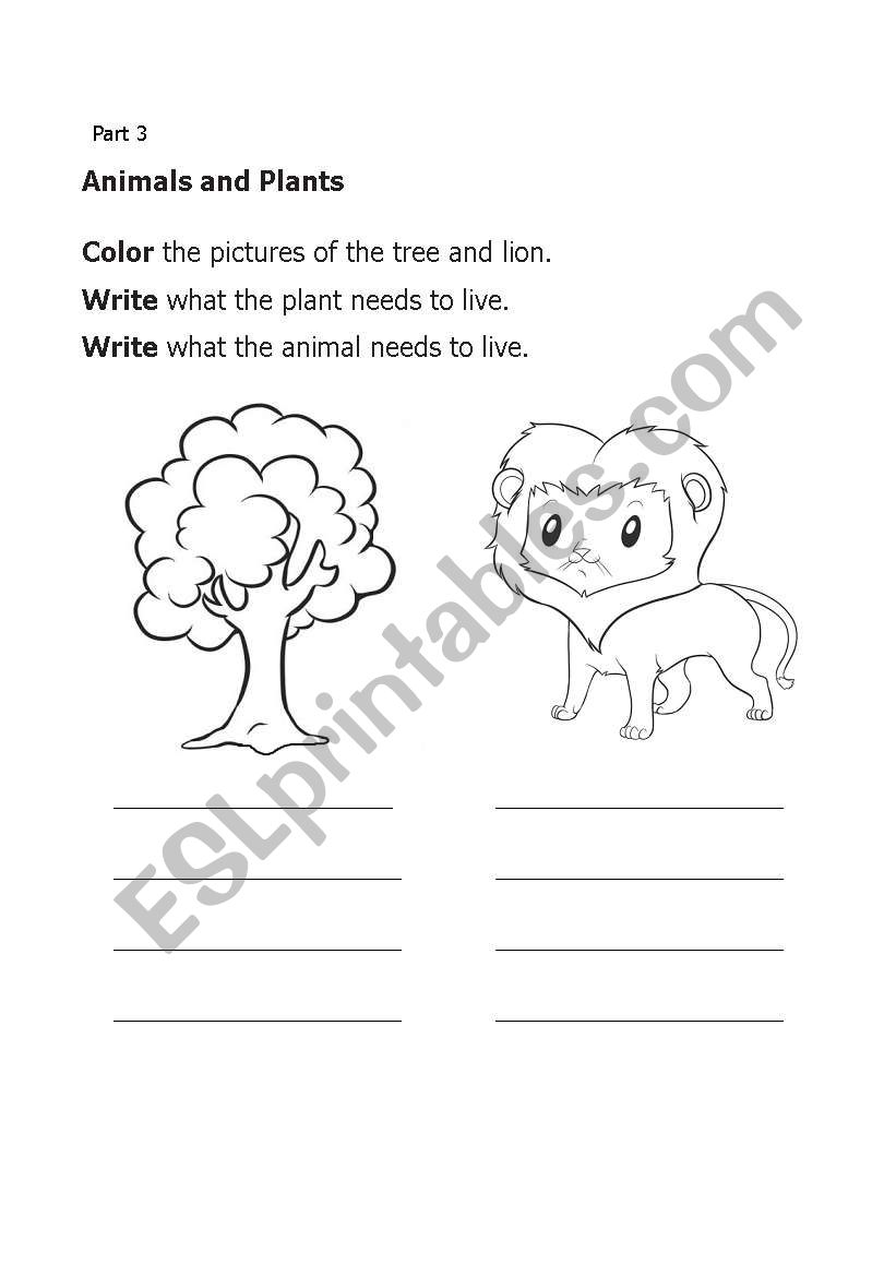 Animal and plant worksheet