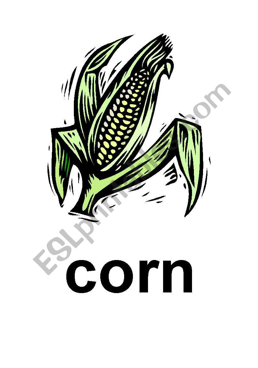 Wheat, Corn, Rice Flashcards worksheet