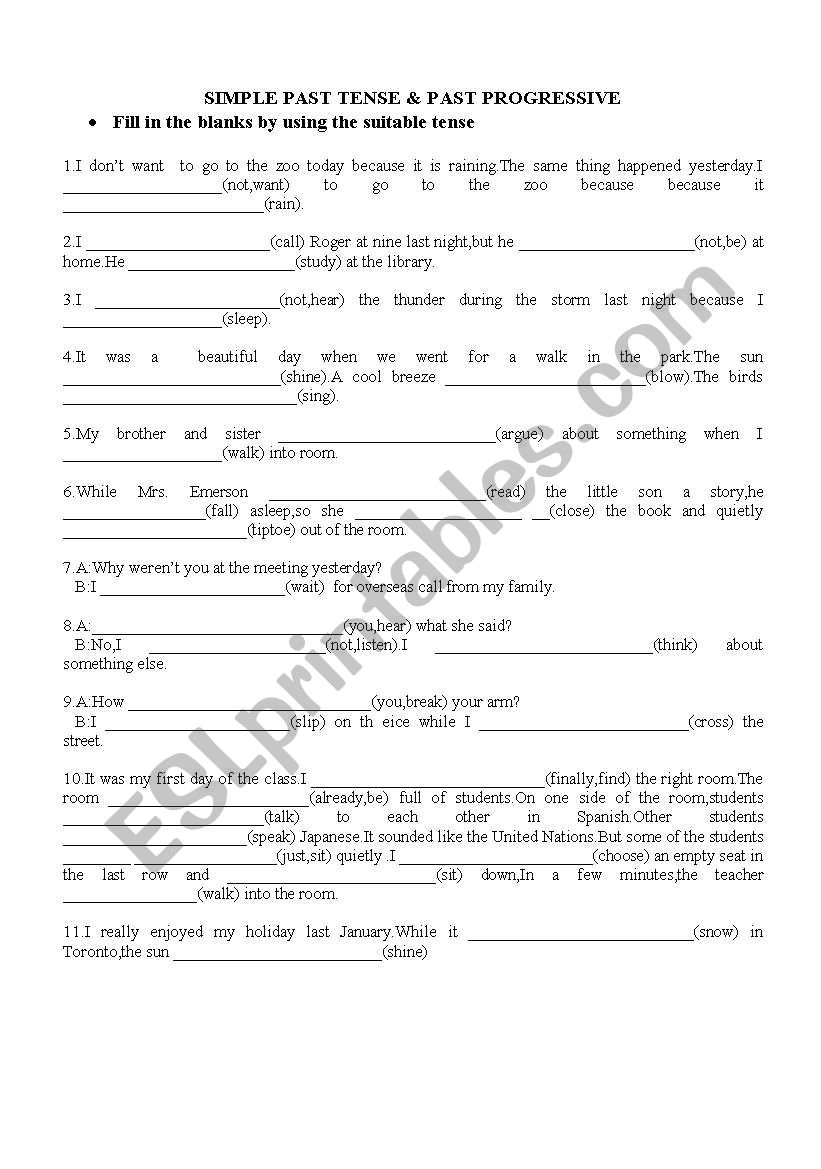 Past Continuous&Simple Past Tense