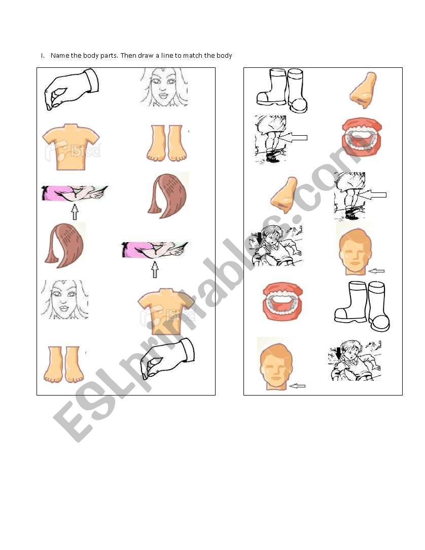 Match body parts worksheet