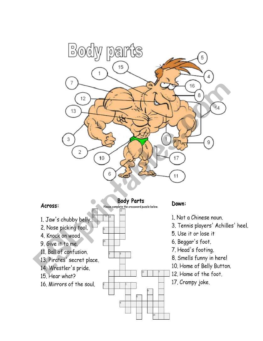 Body Parts and Clothings worksheet