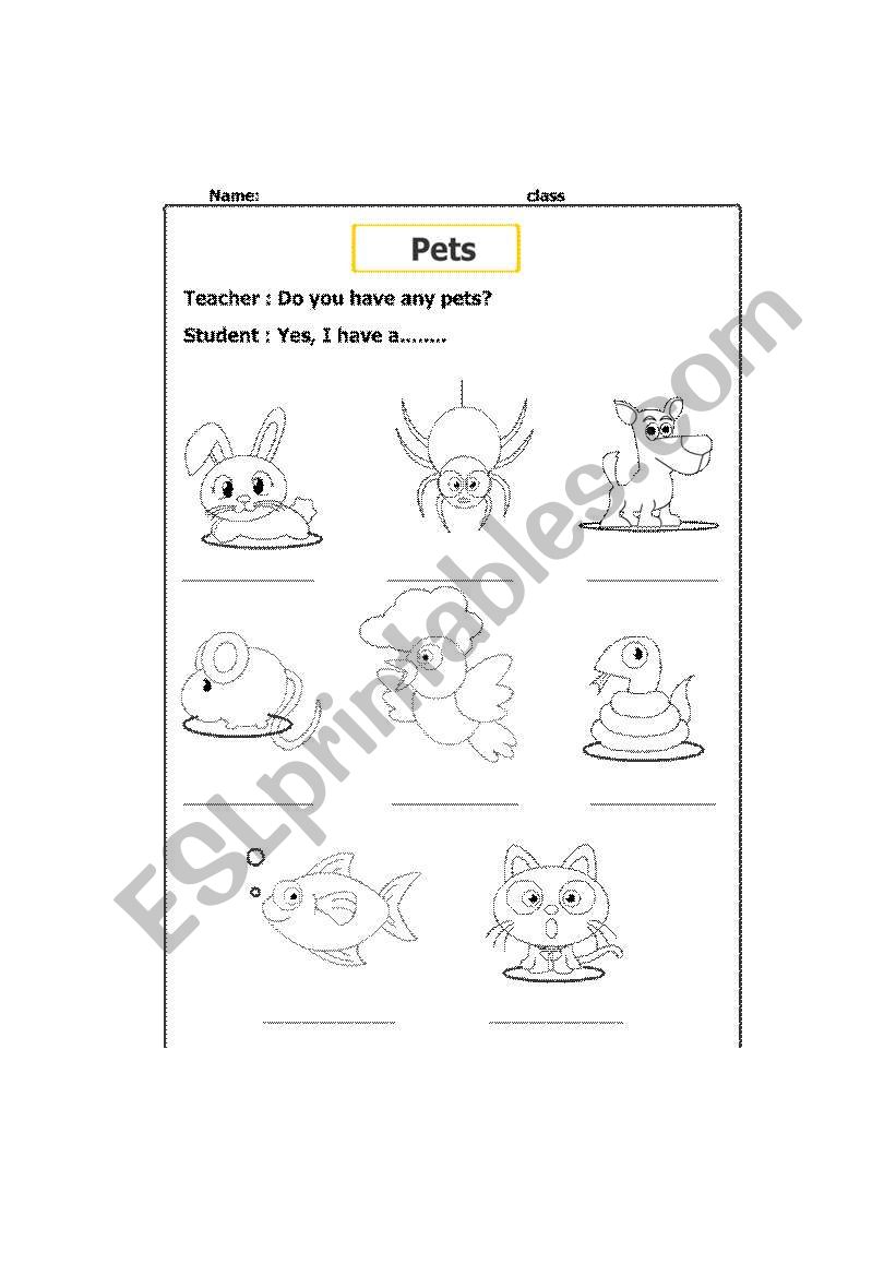 english-worksheets-pets