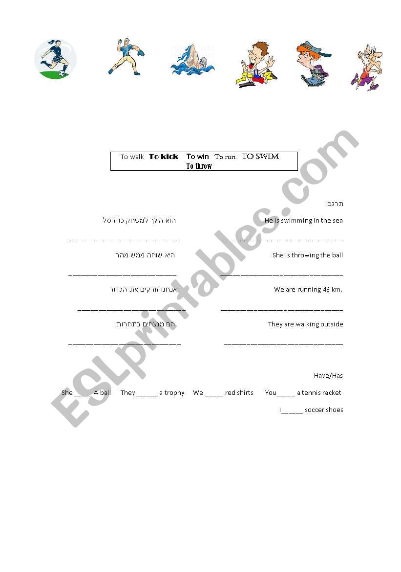 sports worksheet worksheet