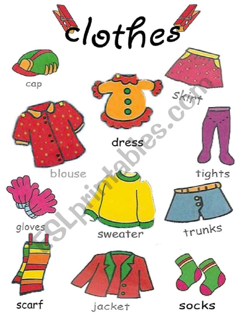 clothes pictionary 2/2 worksheet
