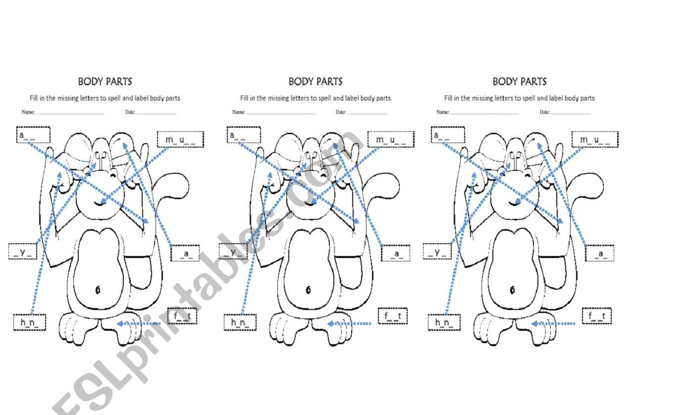 PARTS OF THE BODY worksheet