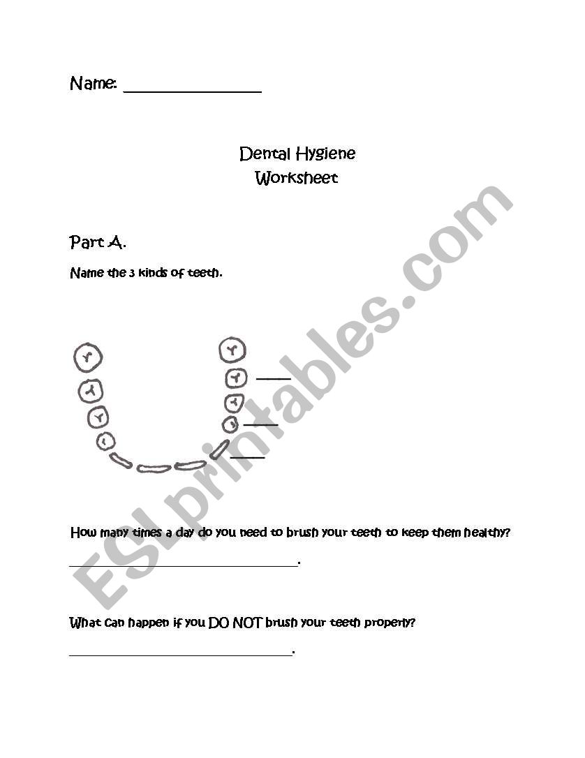 Dental Hygiene Worksheet & Answer Key (4pgs)