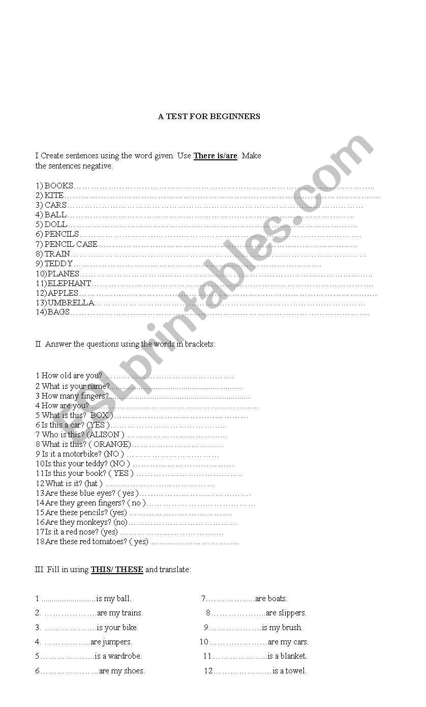A TEST FOR BEGINNERS worksheet