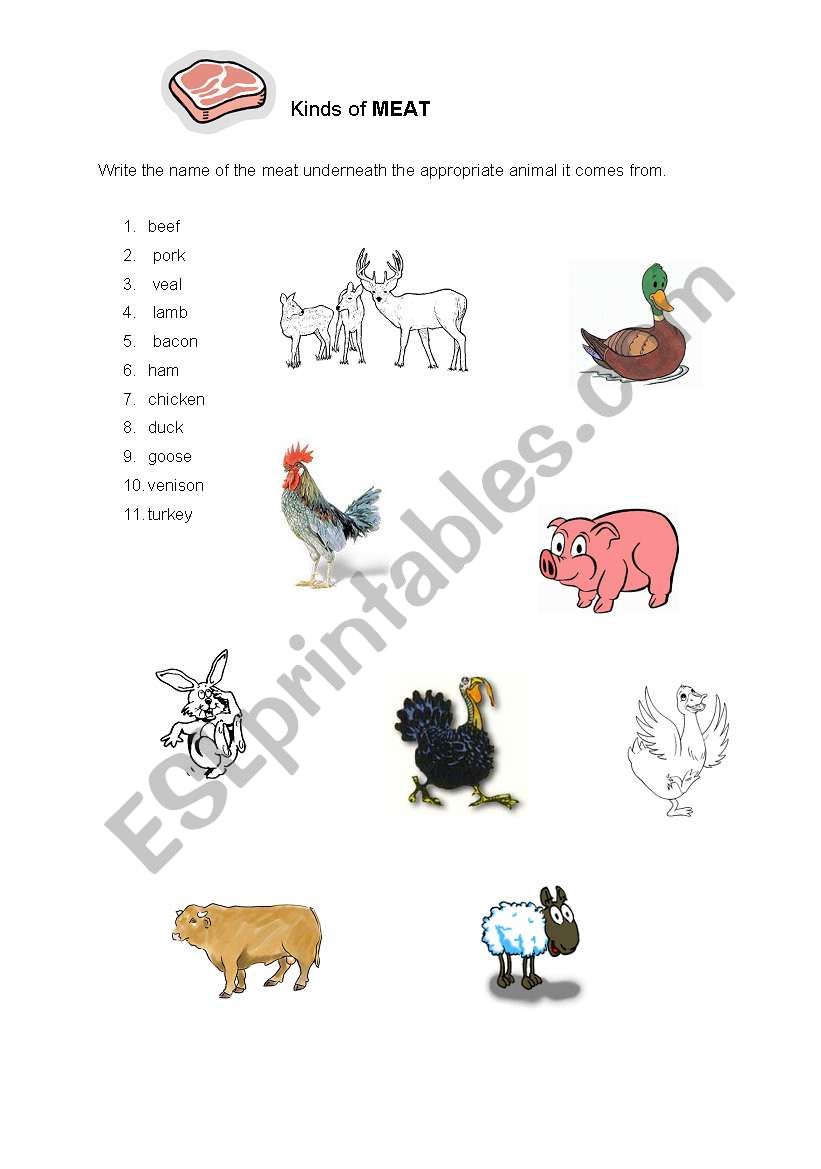 Meat Picture Dictionary worksheet