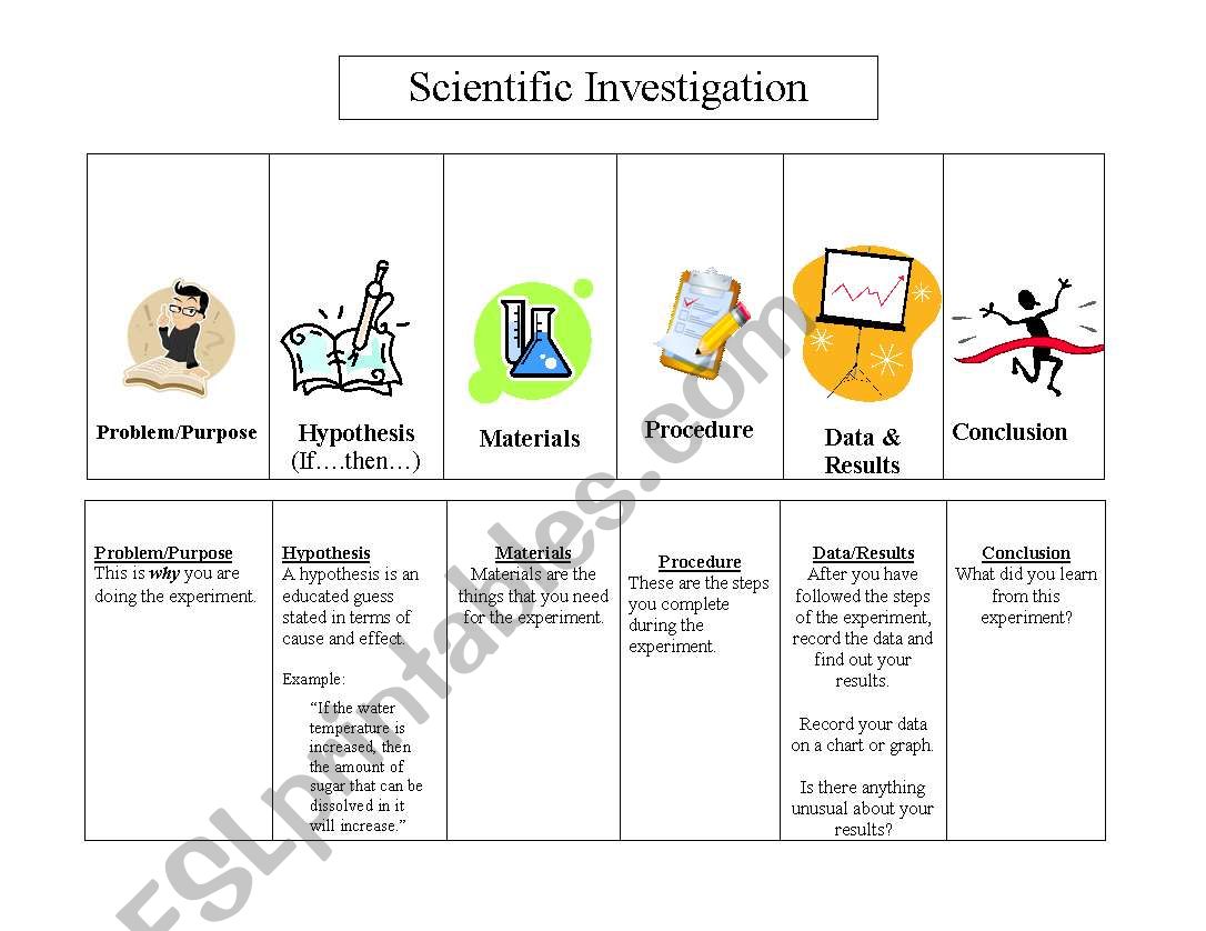 Scientific Investigation Foldable