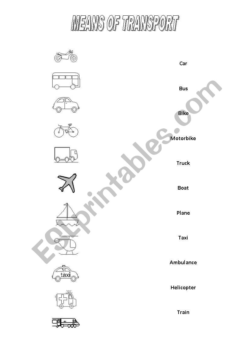 Means of transport worksheet