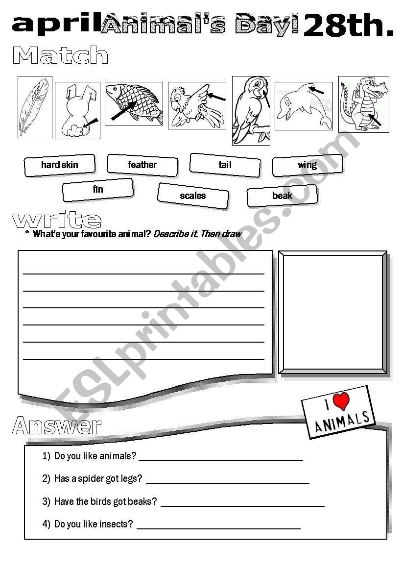 Animal´s Day Activity - ESL worksheet by effy88