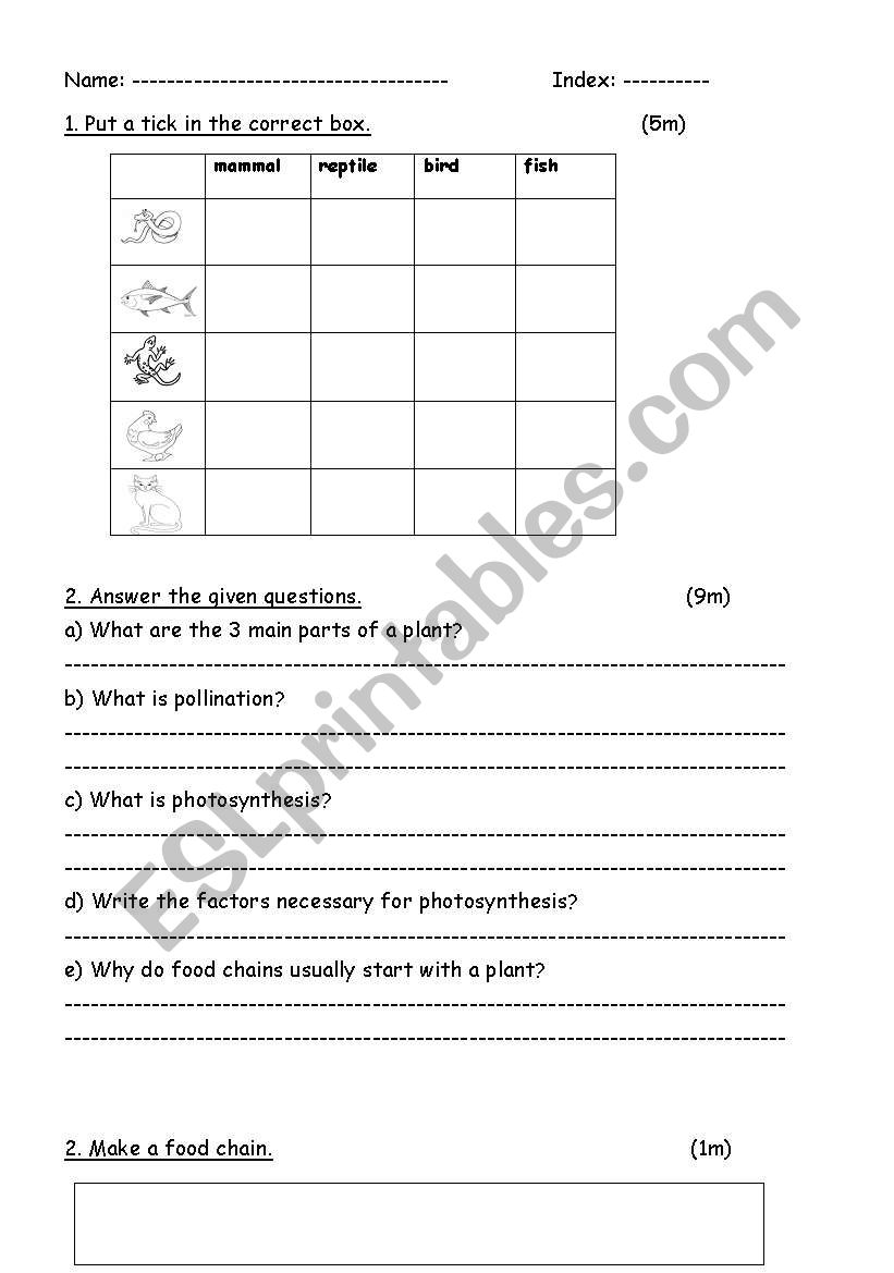 animals and plants worksheet