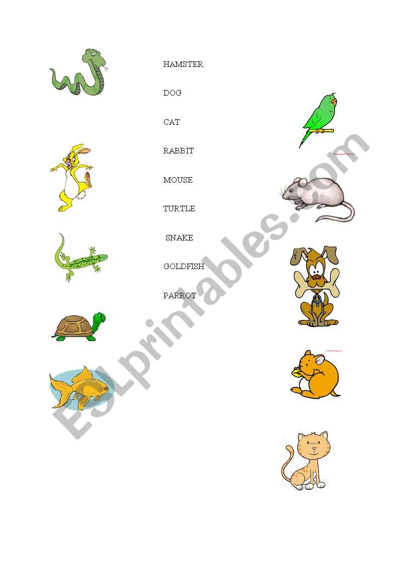 Match the pets! worksheet