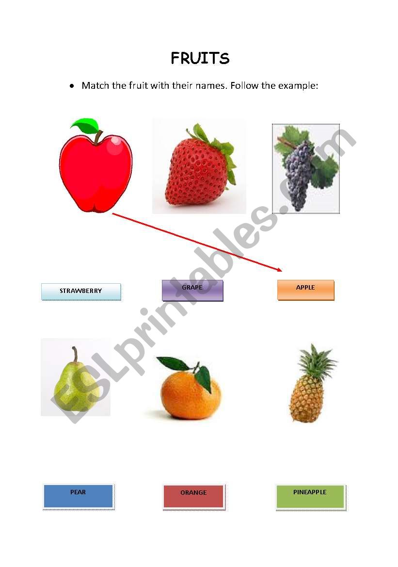 the fruits worksheet