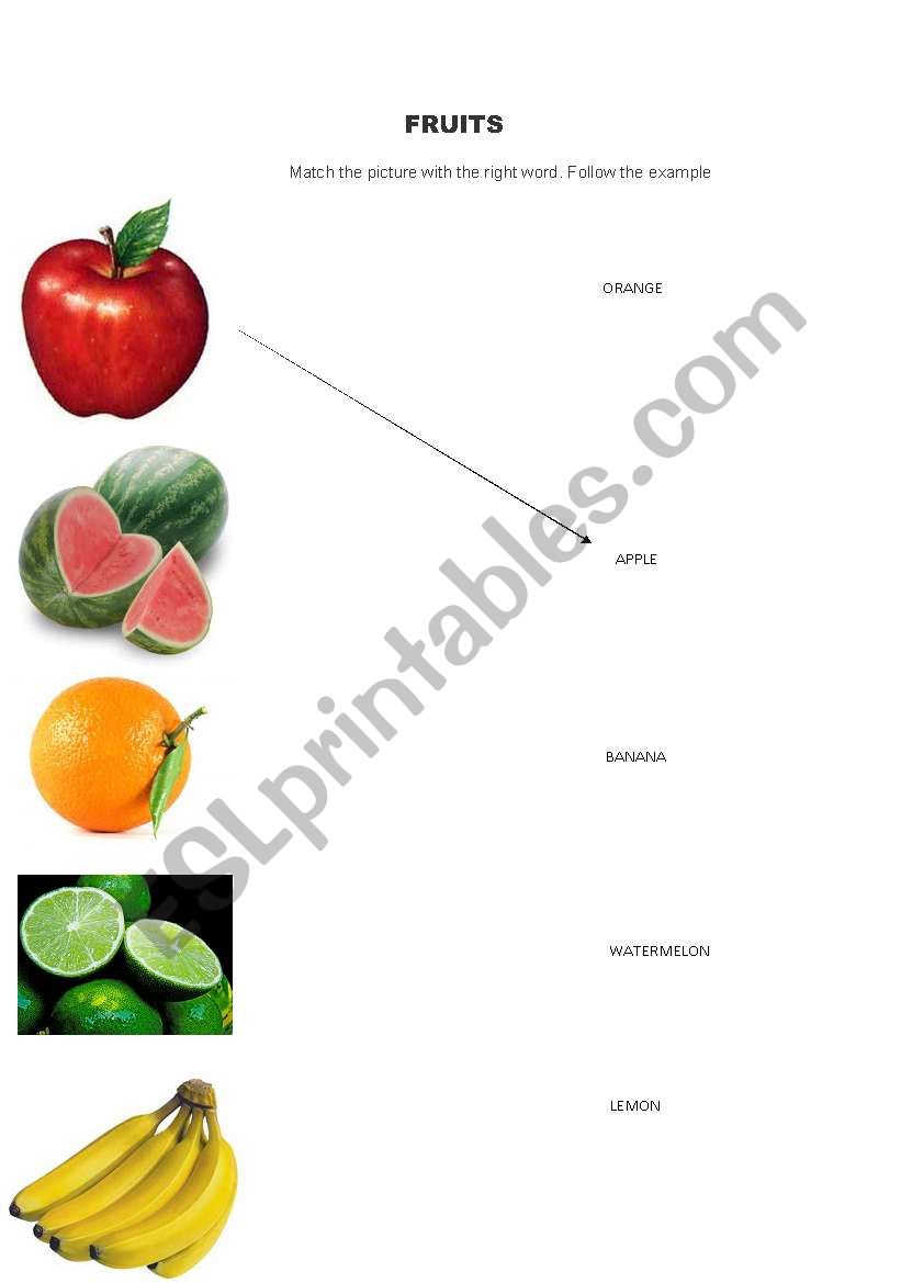 Fruits worksheet