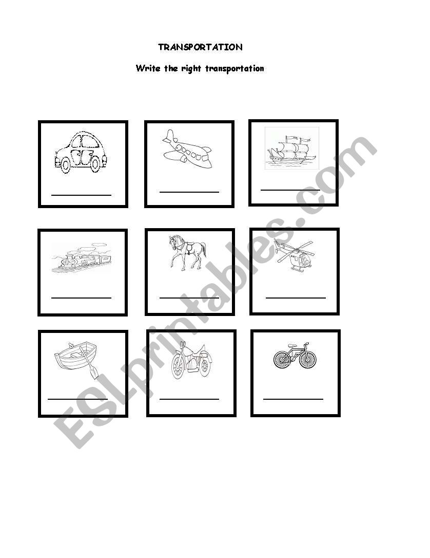 transportation worksheet