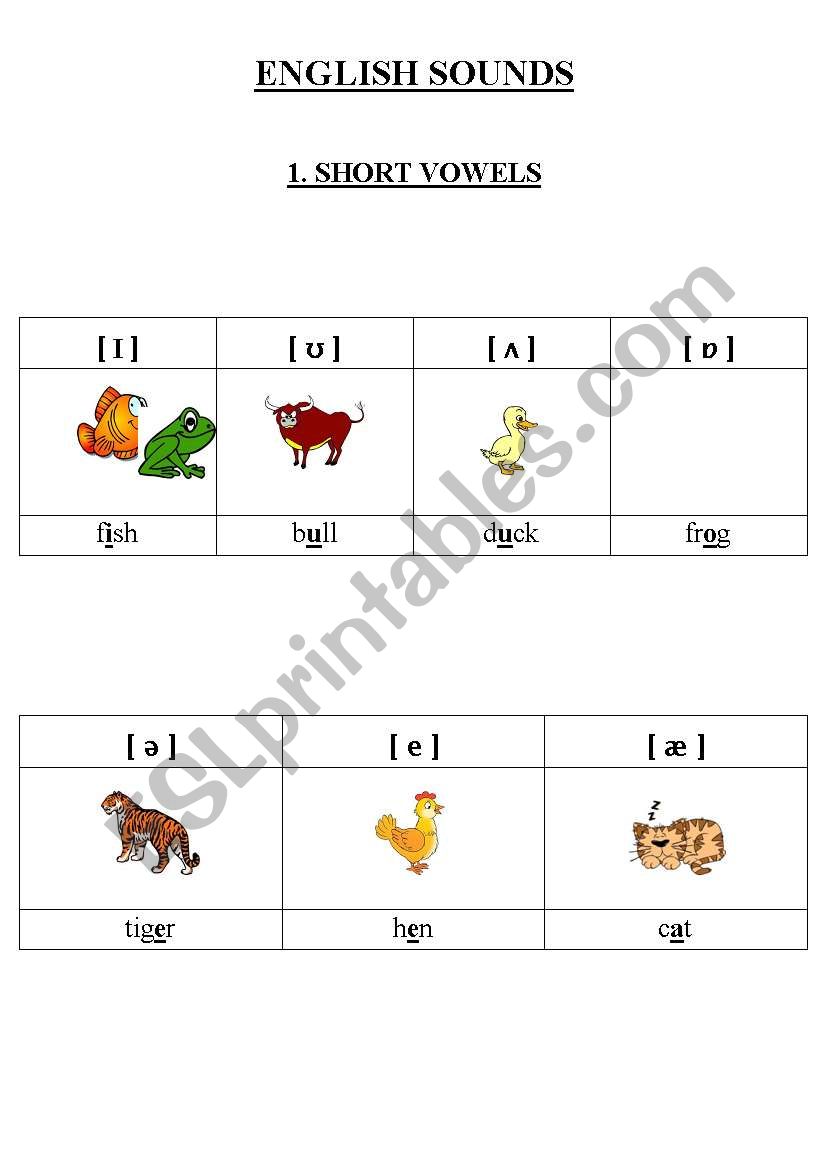 english sounds - short vowels worksheet