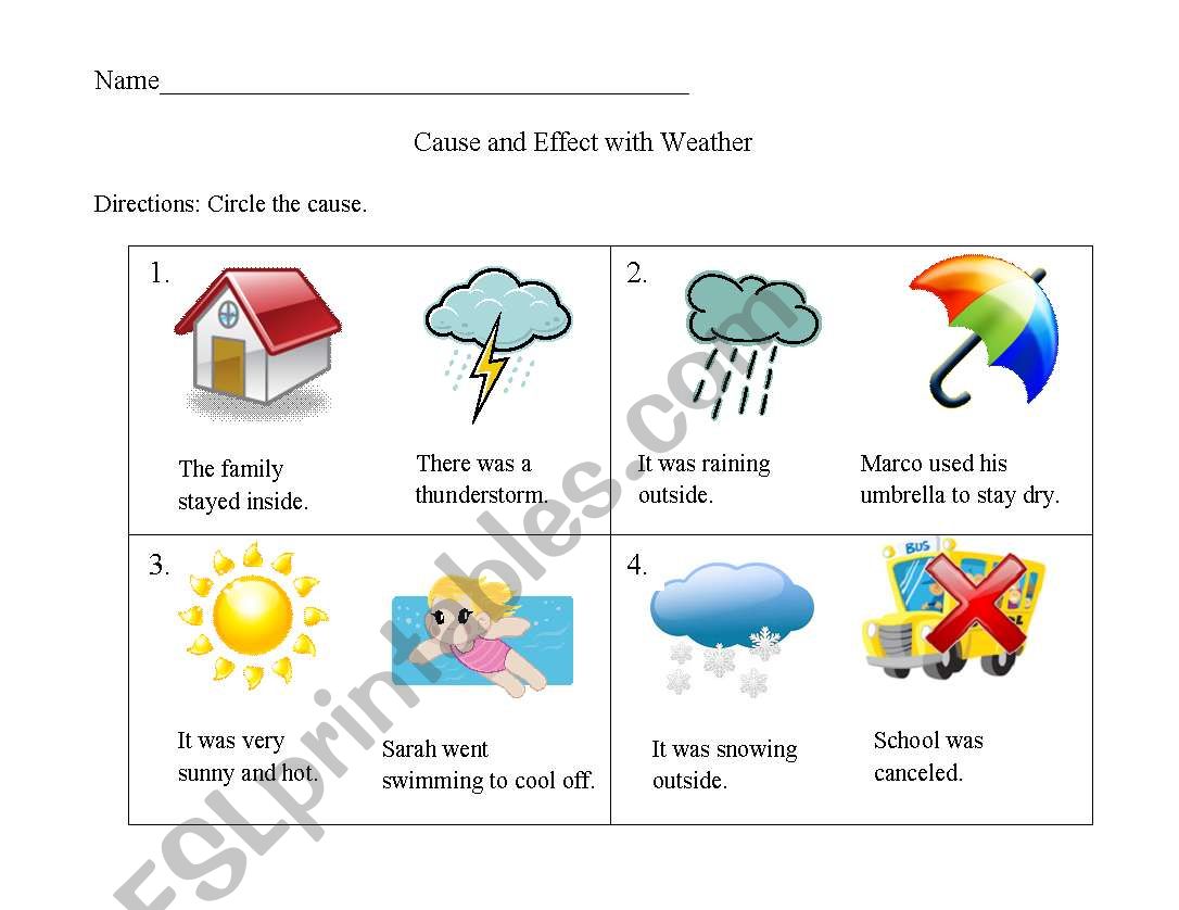 Cause And Effect Live Worksheet