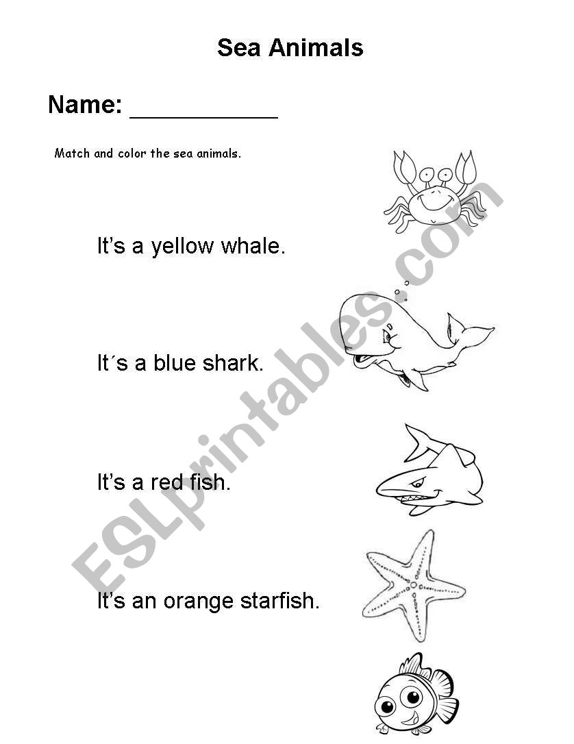 sea animals worksheet