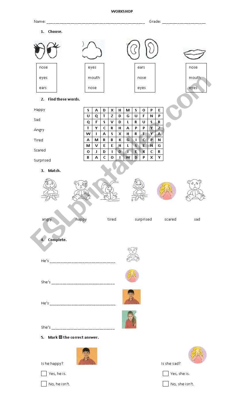 Face and feelings worksheet