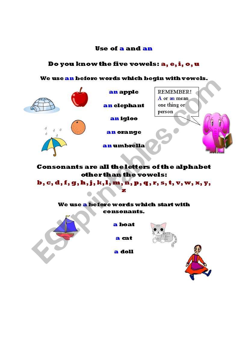 Use of a and an : a revision of vowels and consonants too