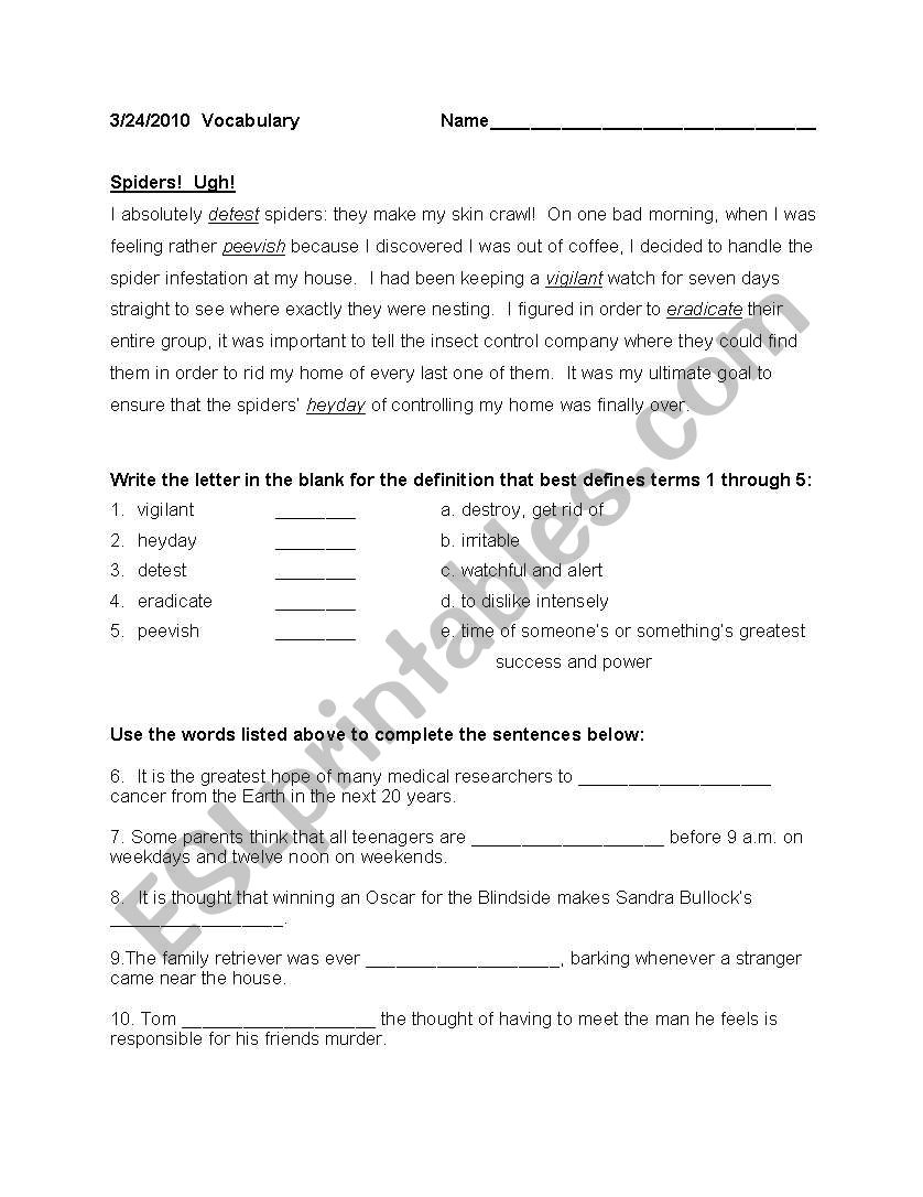 Spider Vocabulary worksheet