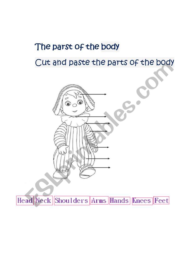 BODY PARTS worksheet