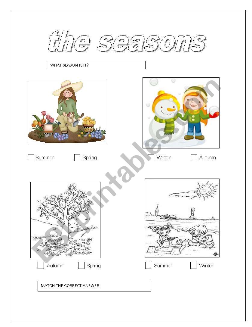 THE SEASONS - ESL worksheet by felicy