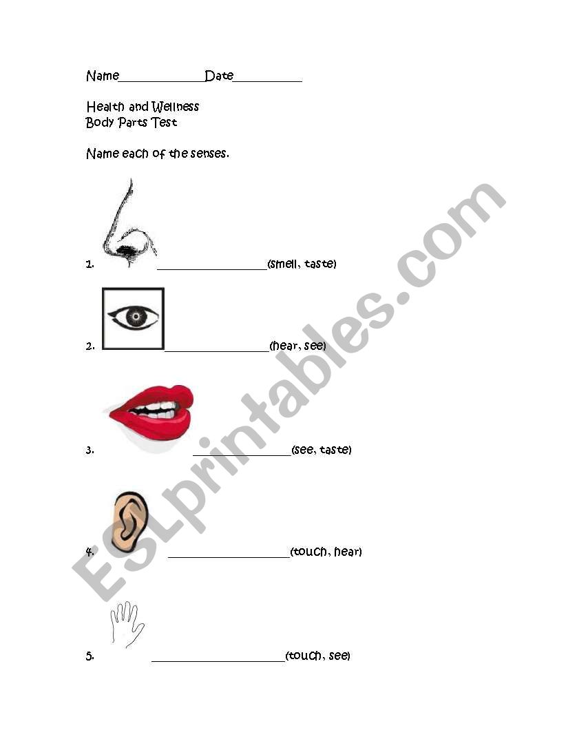 English worksheets: Body Parts Test