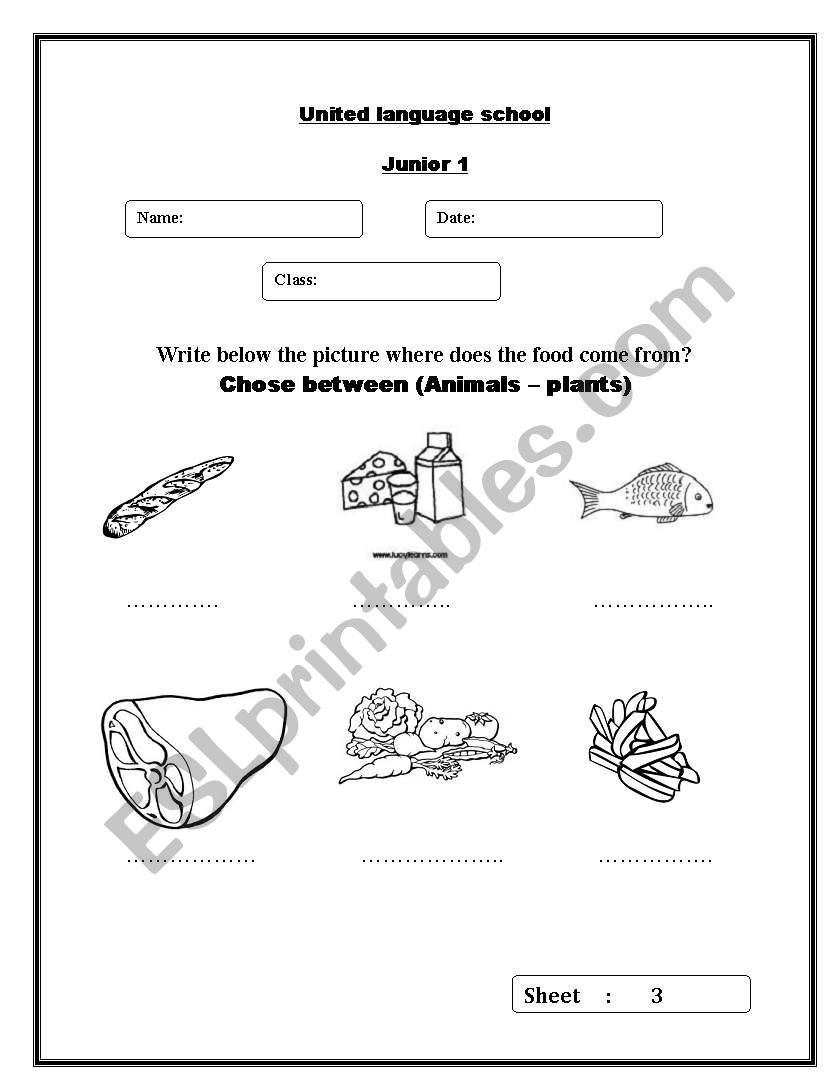 free-where-does-food-come-from-worksheet-teacher-made