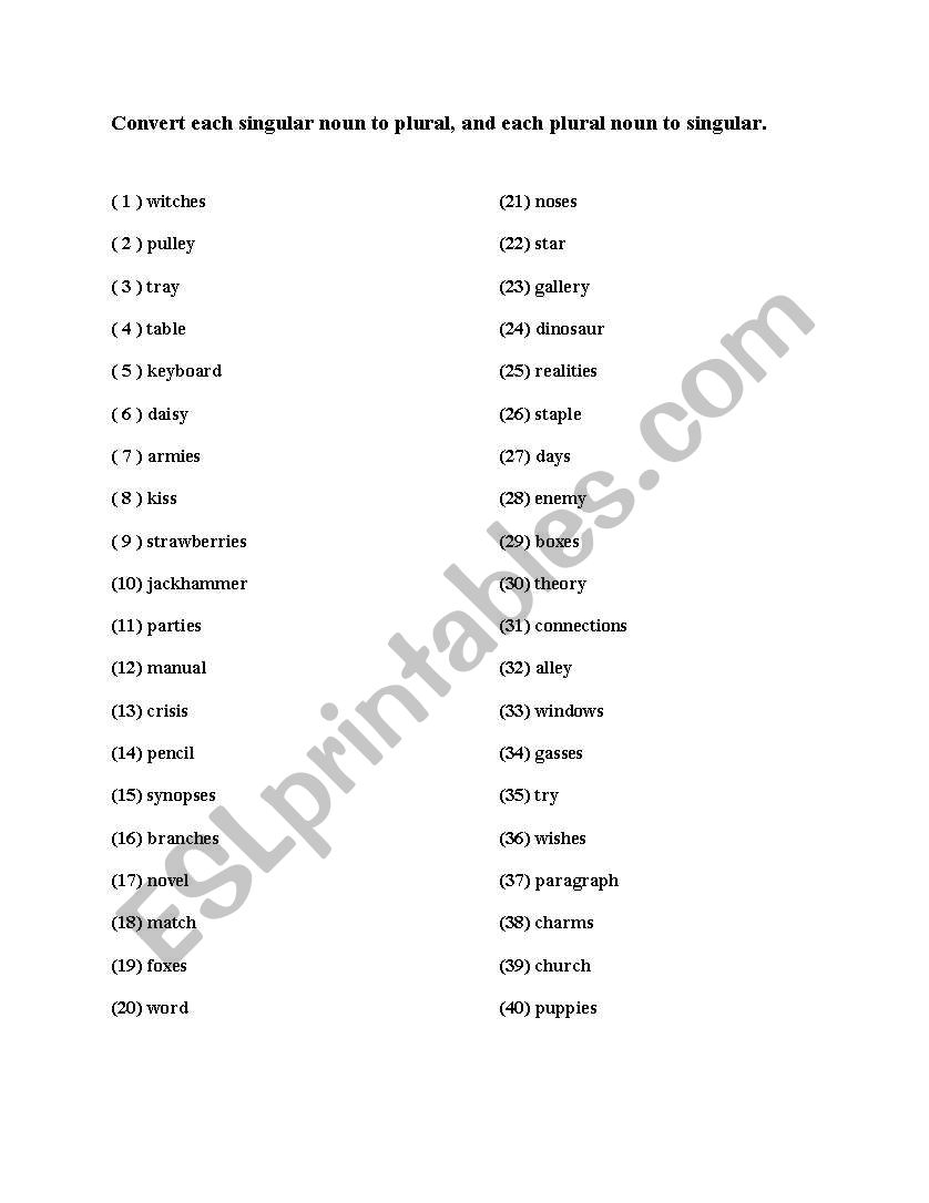 Singular and outlet plural converter