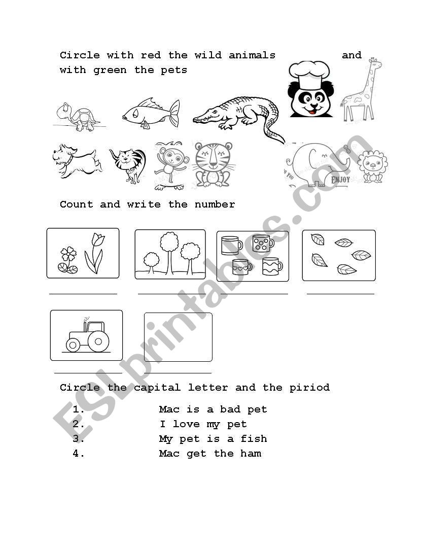 wild animals and pets worksheet