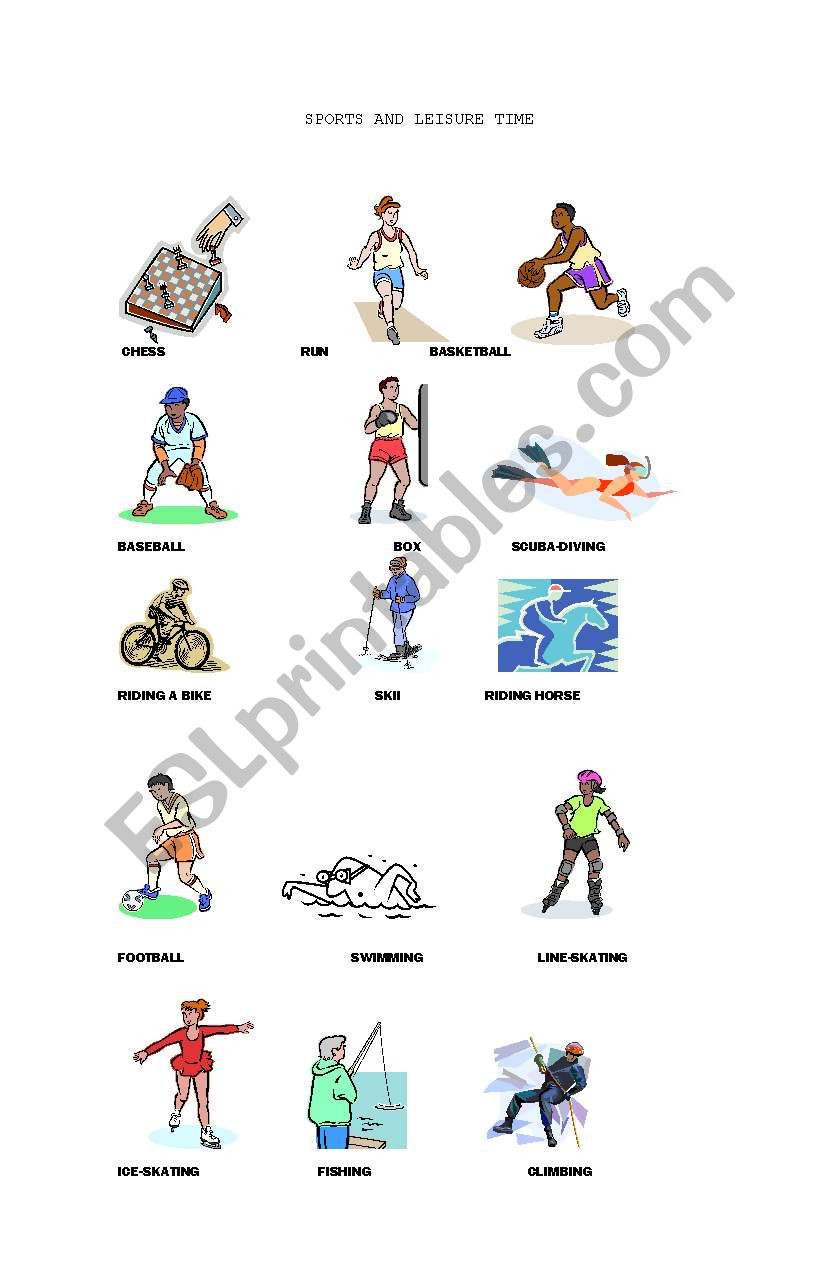 Sports and leisure worksheet