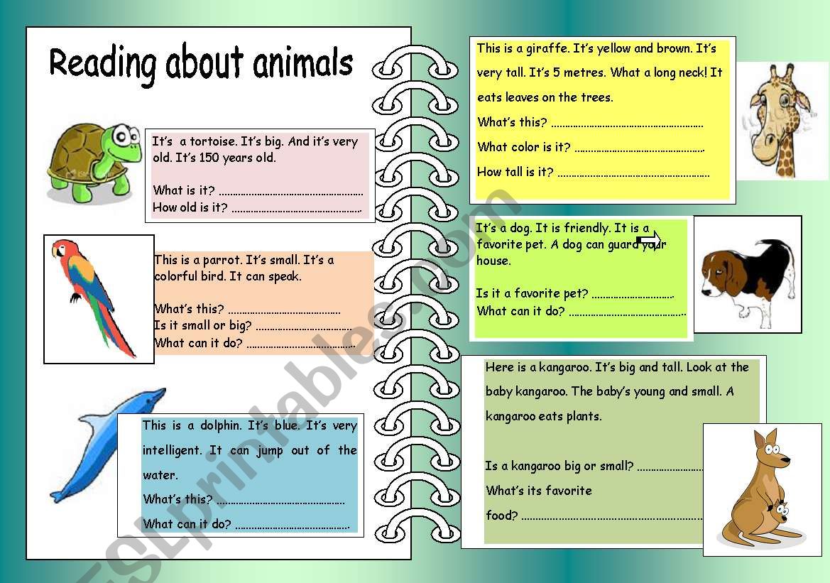 reading about animals worksheet