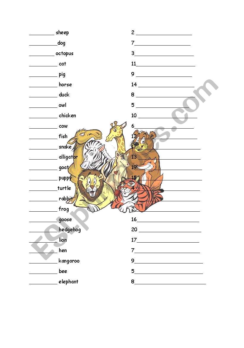 Singular And Plural Nouns Interactive Worksheet Noun Singular And Plural Esl Worksheet By 