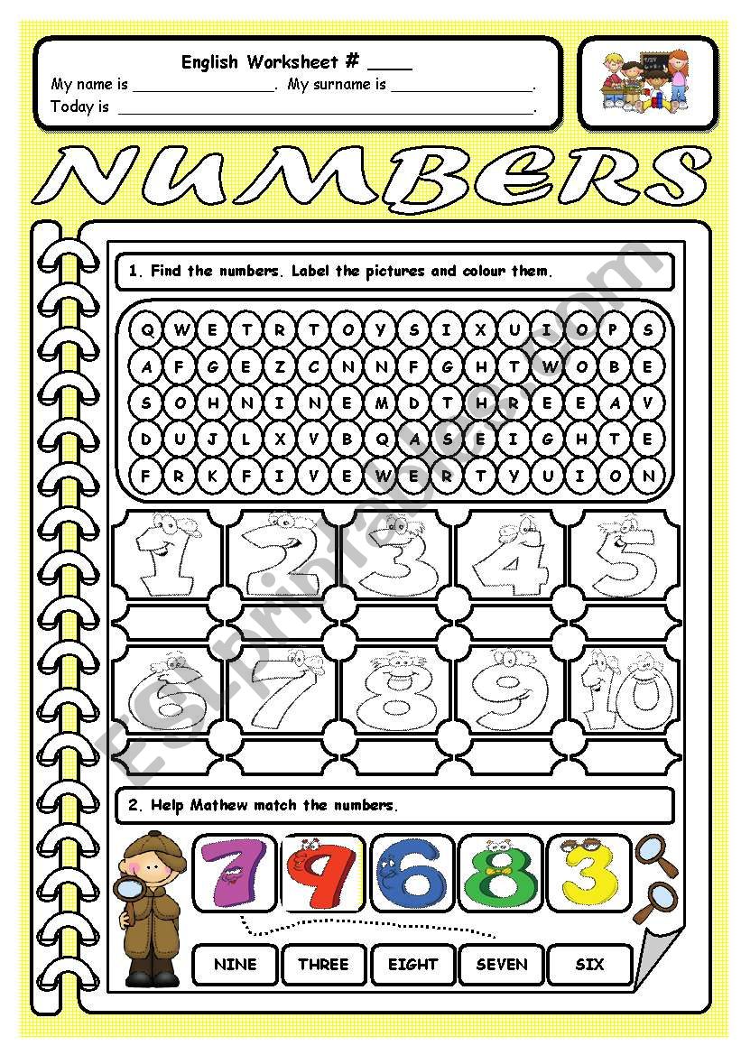 numbers esl worksheet by sonia araujo