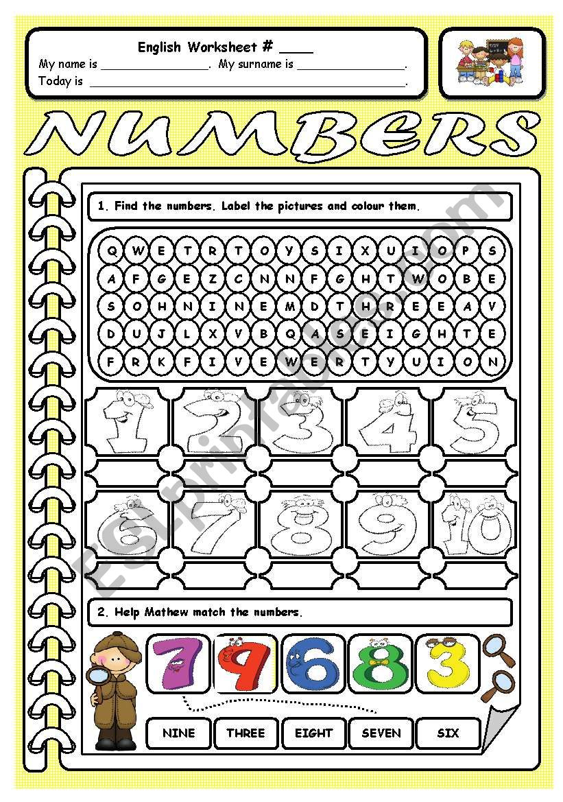 Types Of Numbers Worksheet