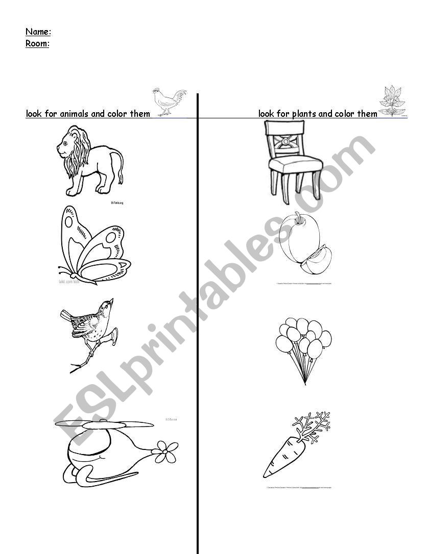Animals and plants worksheet