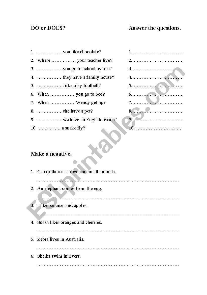 Question practice, word order worksheet