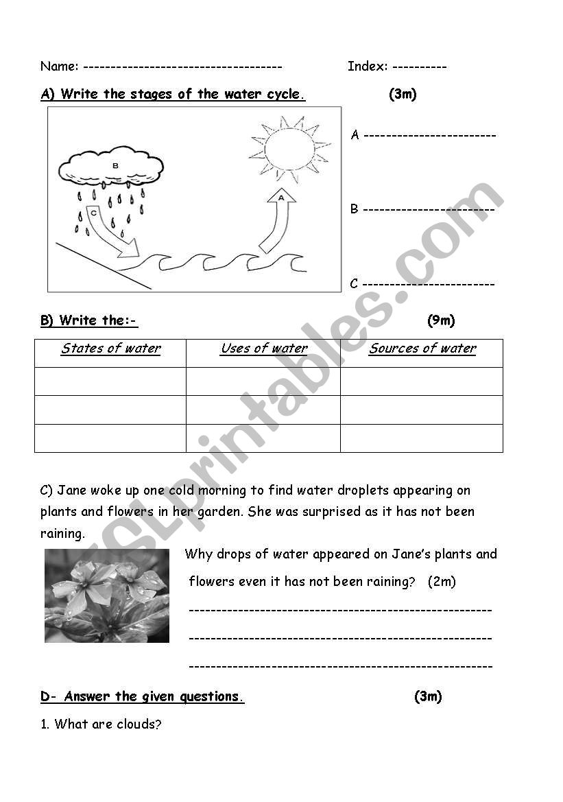 water worksheet