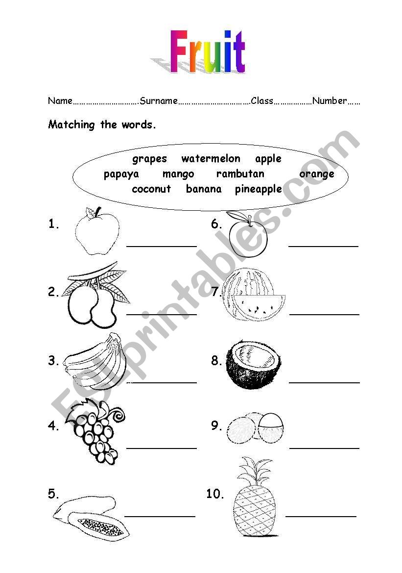 fruit worksheet