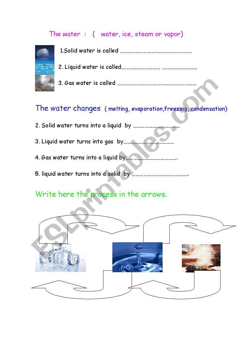 the water states worksheet