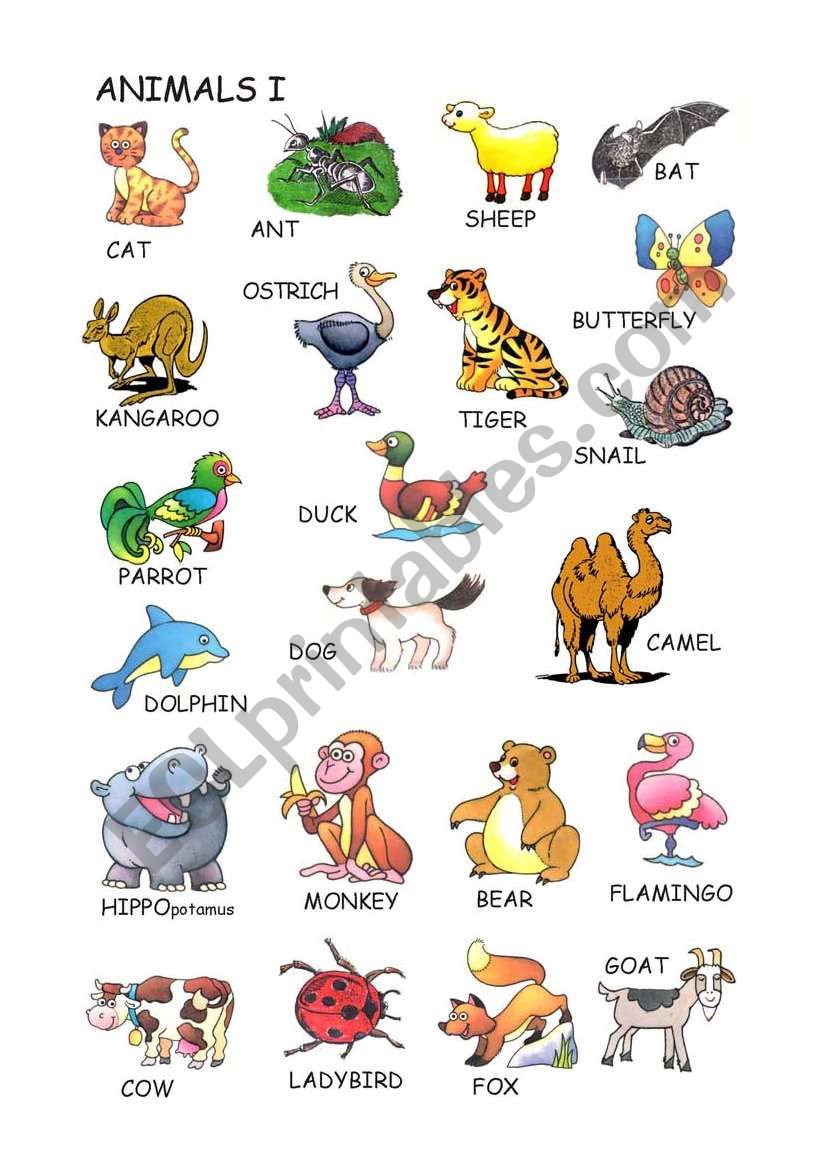 Animals vocabulary - ESL worksheet by joanserra